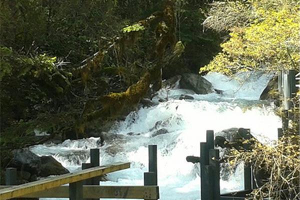 四川自駕游攻略:大熊貓生態之旅必去